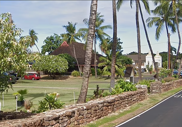 夏威夷大火致36人死亡，4000游客被困！知名小镇被夷为平地（组图） - 3