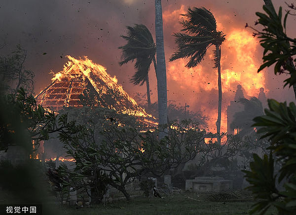 野火增至67死！成夏威夷“史上最惨天灾”，死亡数超过63年前海啸（组图） - 1