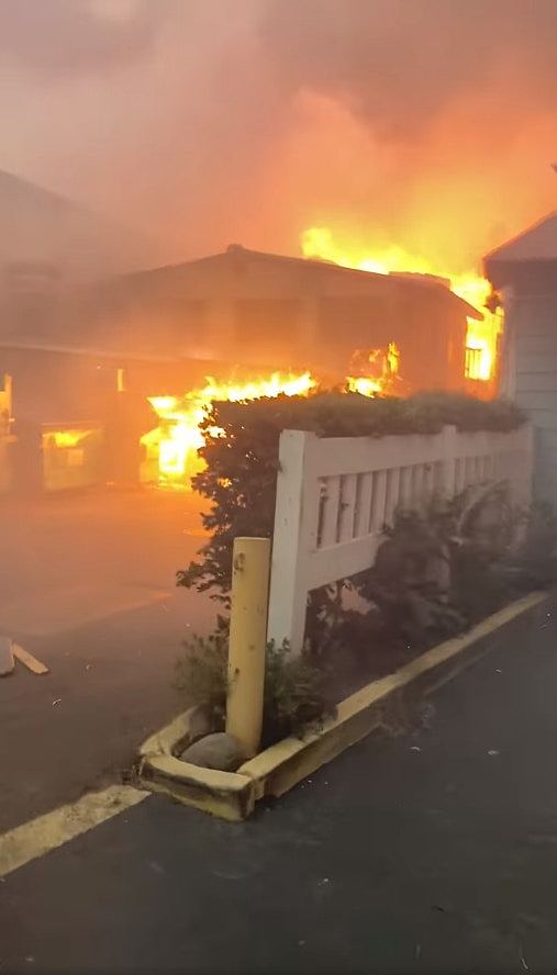 美国夏威夷毛伊岛山火增至最少67死，政府禁哄抬价格（组图） - 4