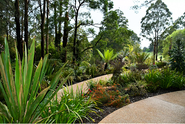 澳洲又赢了！名列世界前三！墨新植物园开放！曾获国际大奖，被称为“自然仙境”（组图） - 8