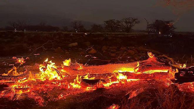 55死1000人失联！夏威夷世纪大火仍失控，茂宜岛毁了大岛也在烧（组图） - 3