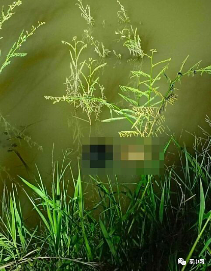泰国，30岁中国男子离奇被害，浮尸池塘！颈部缠绕有金属丝，生前头部受伤...（组图） - 2