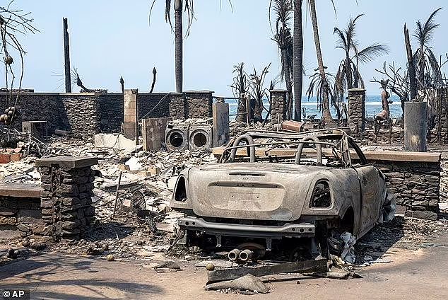 55死1000人失联！夏威夷世纪大火仍失控，茂宜岛毁了大岛也在烧（组图） - 7