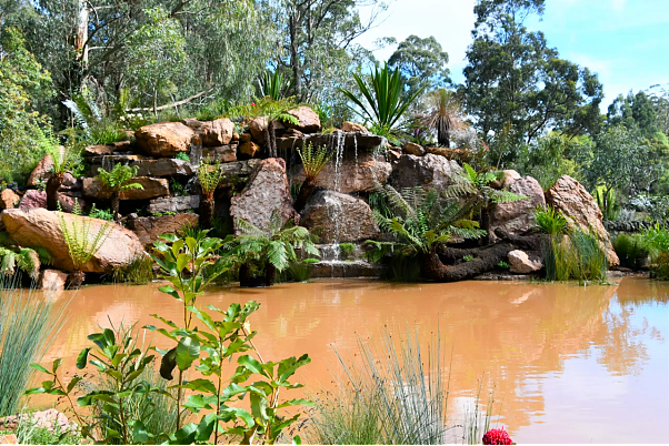 澳洲又赢了！名列世界前三！墨新植物园开放！曾获国际大奖，被称为“自然仙境”（组图） - 10