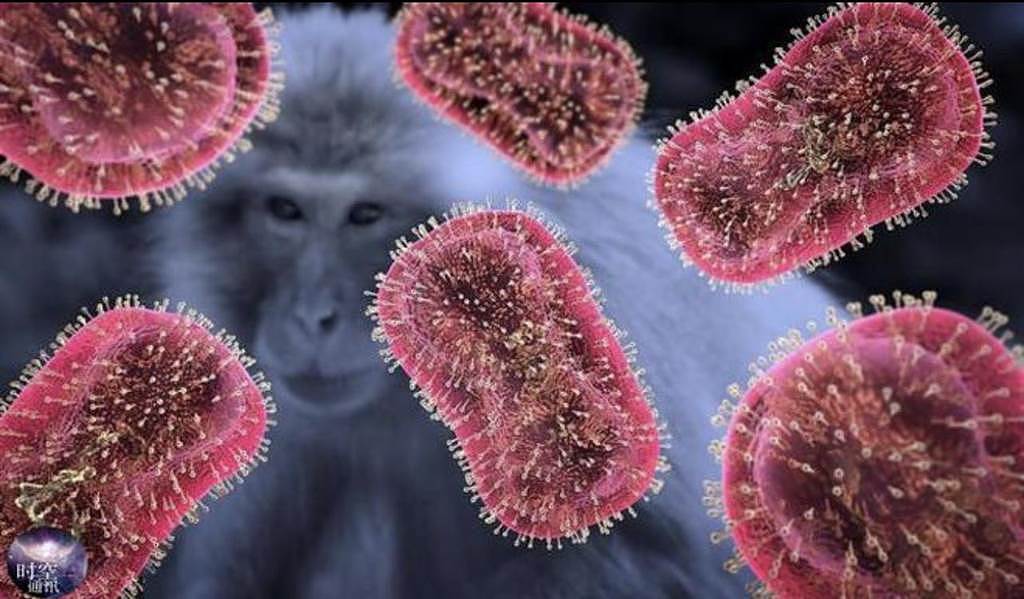 中国大陆猴痘病例7月激增，张文宏团队发布防护指南（图） - 1