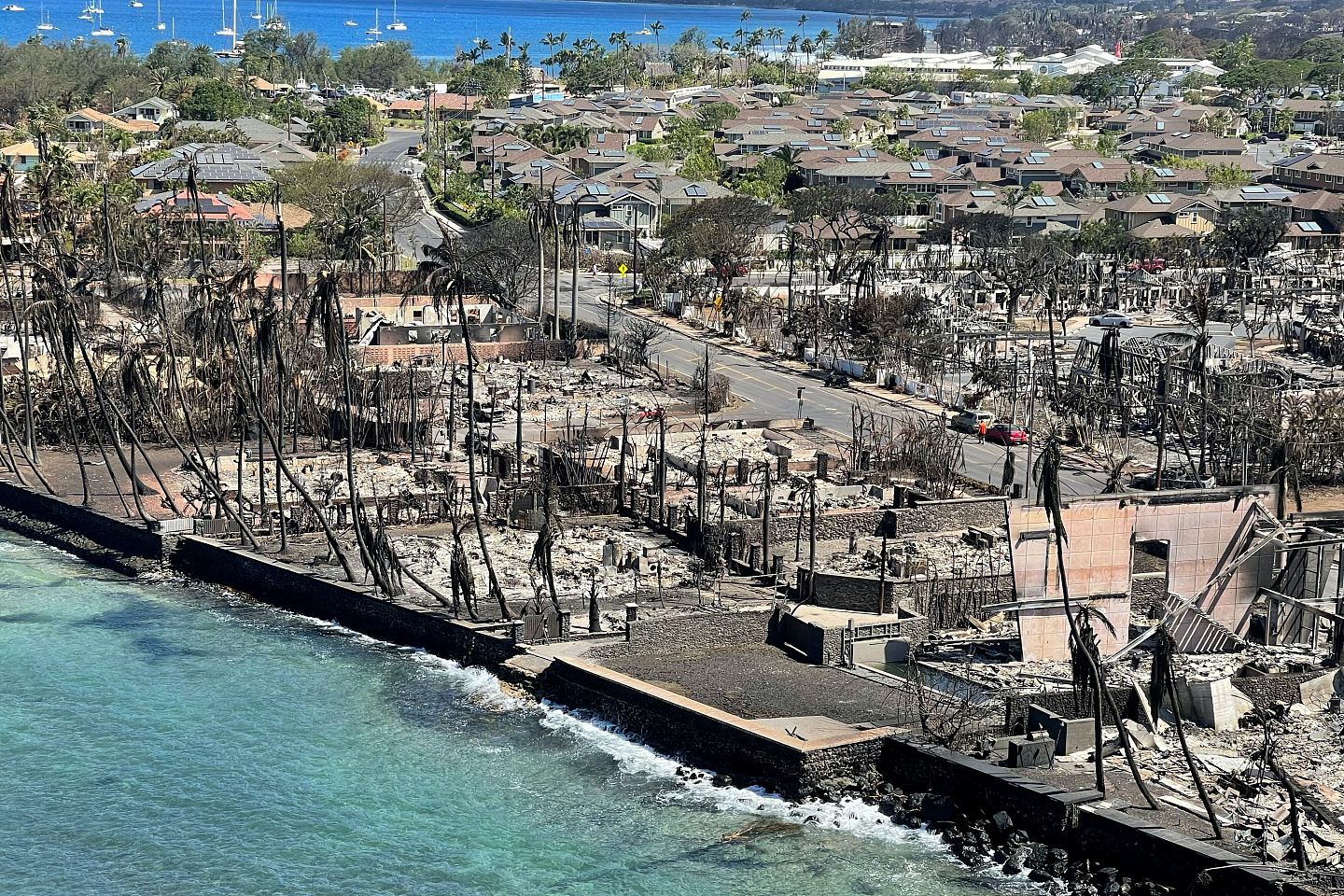 美国史上伤亡最惨重山火：夏威夷山火死亡人数增至93人（组图） - 4