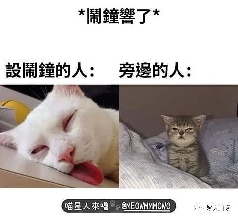 【爆笑】“被长相显老的00后喊姐破防？”哈哈哈哈哈哈什么双方社死现场（组图） - 7