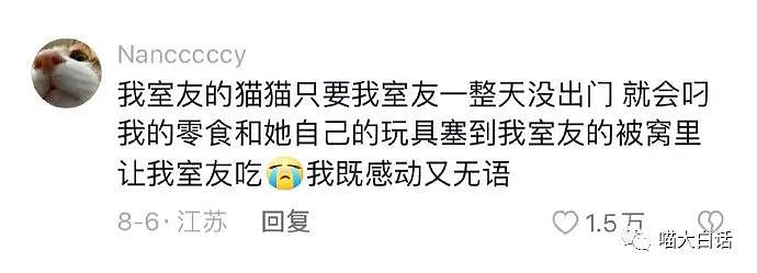 【爆笑】“社恐人出门躲避邻居被撞见...”哈哈哈哈哈双方场面一度很尴尬（组图） - 43