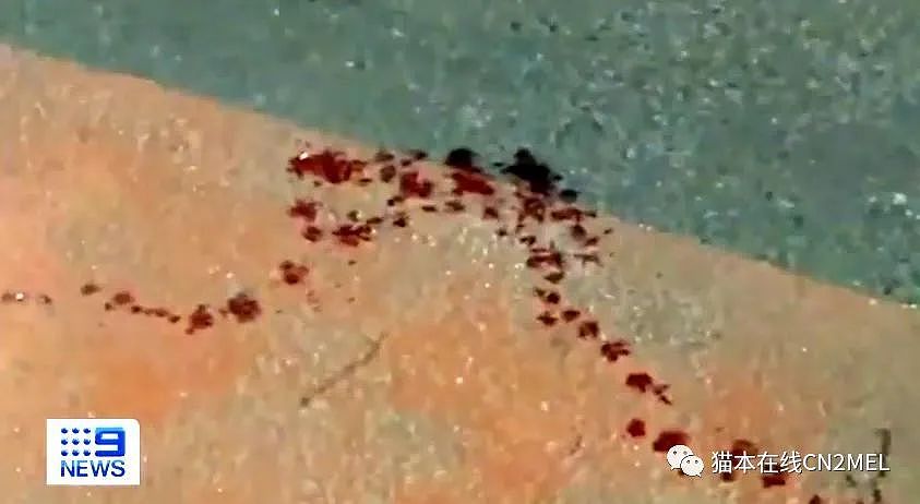 现场视频曝光：今晨墨尔本CBD脱衣舞夜店外三男遭砍命危，现场血迹斑斑，两名嫌犯在逃（组图） - 5