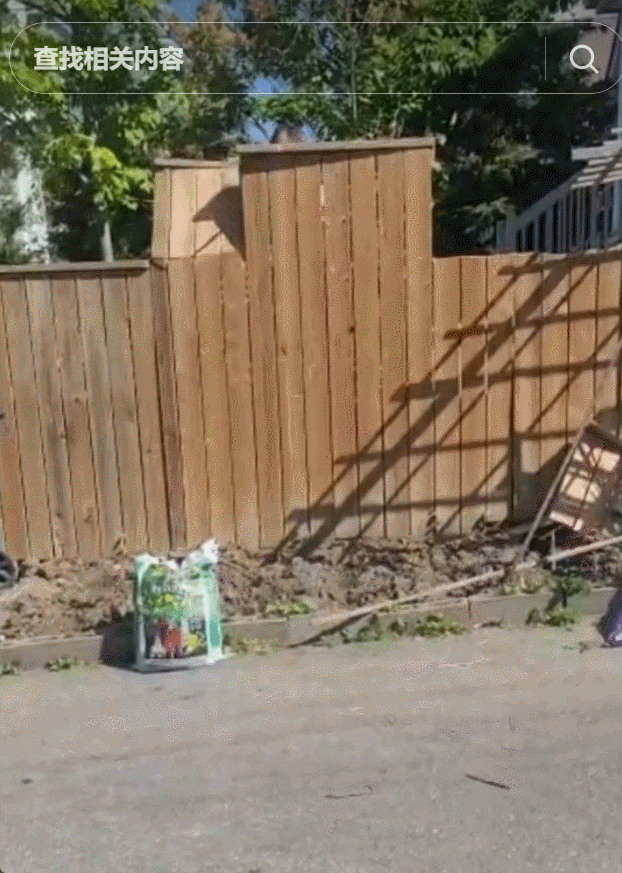 加拿大华人夫妇遭曝光：手持大电锯强拆邻居家栅栏，扬言报警也不怕！（组图） - 4