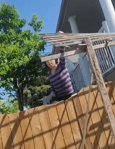 加拿大华人夫妇遭曝光：手持大电锯强拆邻居家栅栏，扬言报警也不怕！（组图） - 9