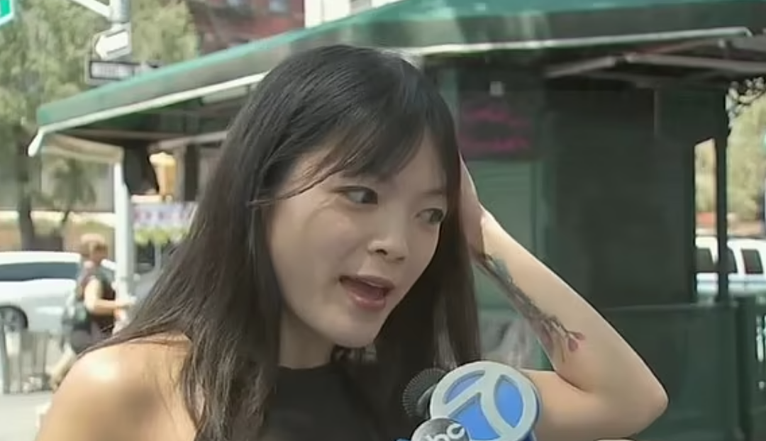 愤怒！华裔一家四口坐地铁出游，遭无端嘲笑围殴，热心同胞录像留证也被暴打（组图） - 4