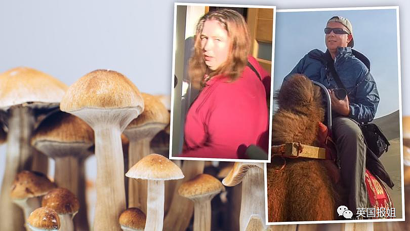 澳洲女子下厨招待前公婆一家，饭后3老人诡异死亡！致命元凶曝光：吃了世界最毒蘑菇（组图） - 7