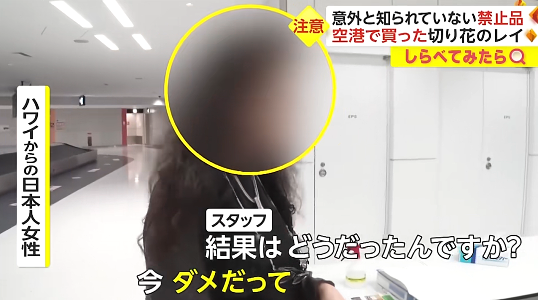 日本机场惊现各种奇葩“违禁品“？一中国大哥的行李箱，让外国网友直呼：开了眼了…（组图） - 17