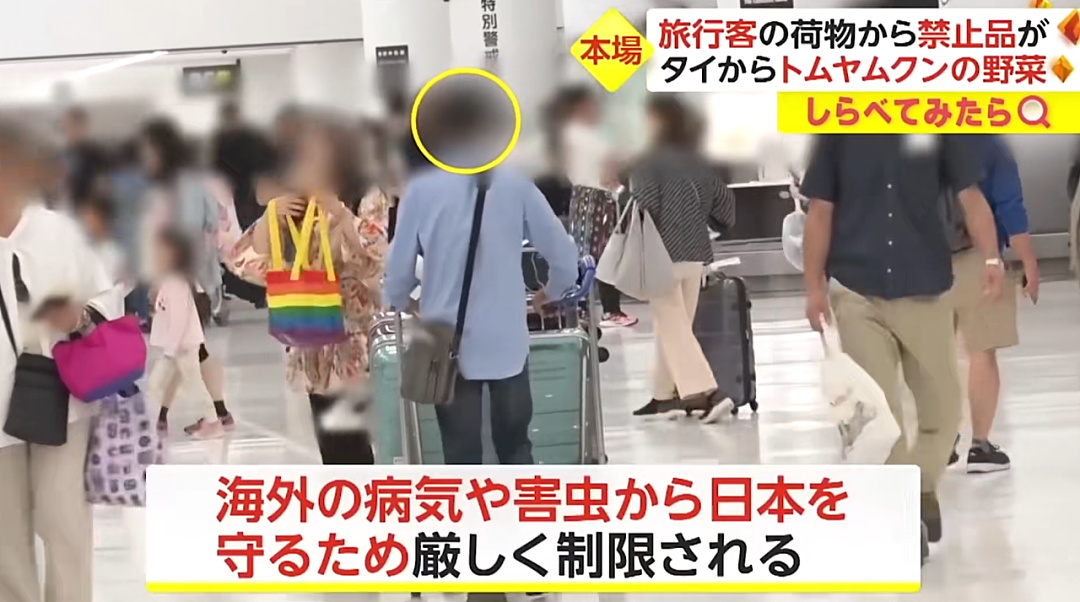 日本机场惊现各种奇葩“违禁品“？一中国大哥的行李箱，让外国网友直呼：开了眼了…（组图） - 11