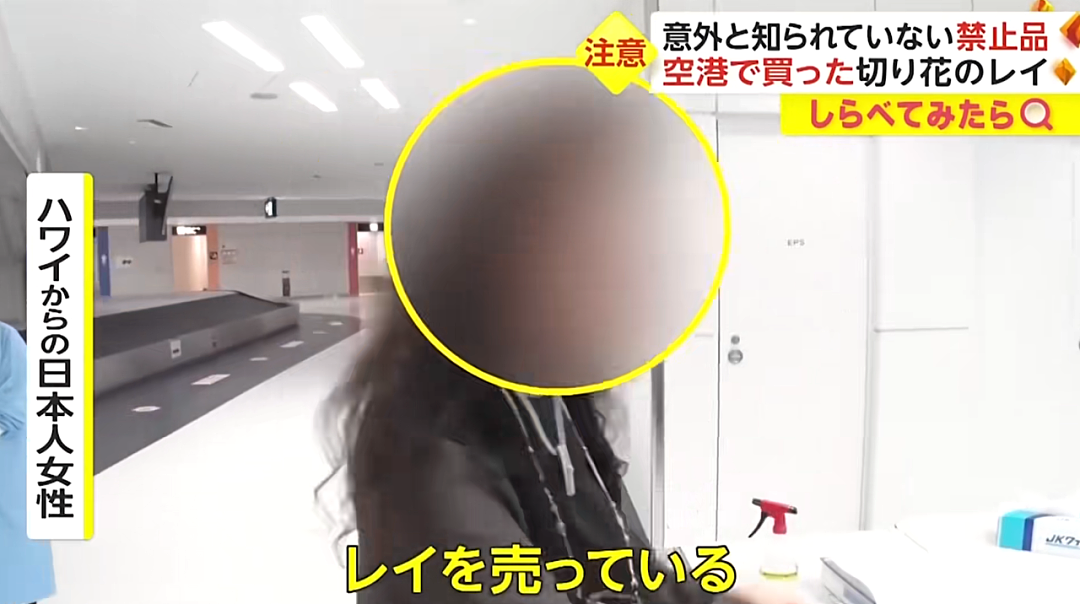 日本机场惊现各种奇葩“违禁品“？一中国大哥的行李箱，让外国网友直呼：开了眼了…（组图） - 15