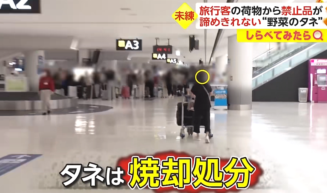 日本机场惊现各种奇葩“违禁品“？一中国大哥的行李箱，让外国网友直呼：开了眼了…（组图） - 14