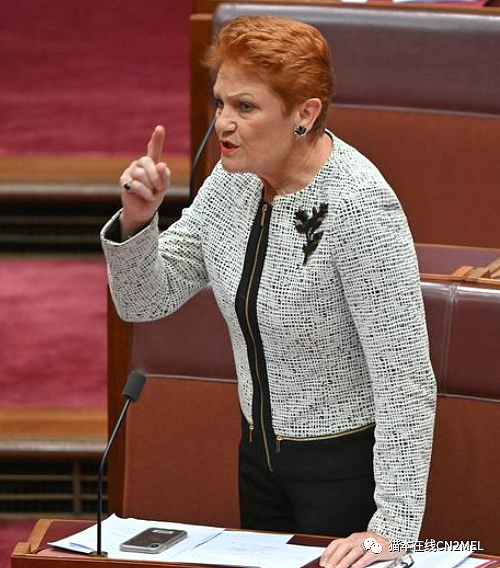 离谱！澳洲议员“遭刺杀”，对方竟是teenager，“我有武器，更超能力！”（组图） - 2
