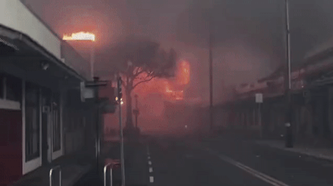 99人死亡，尸体一碰就碎！视频公布：夏威夷火灾，疑为人祸........（组图） - 8