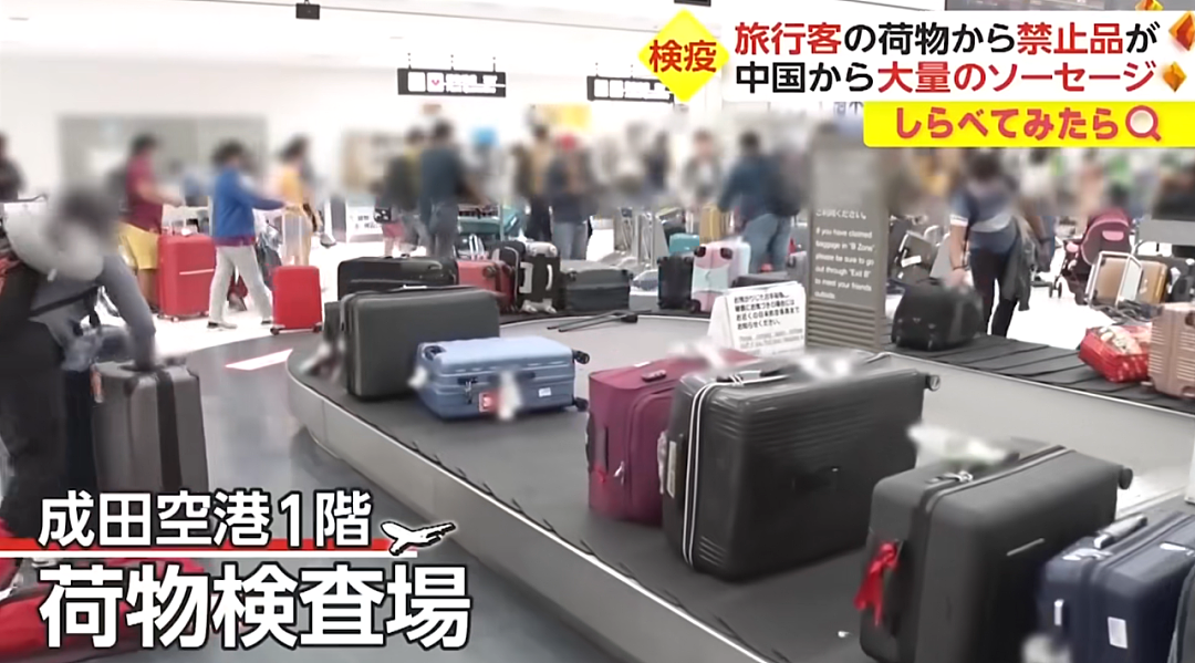日本机场惊现各种奇葩“违禁品“？一中国大哥的行李箱，让外国网友直呼：开了眼了…（组图） - 1