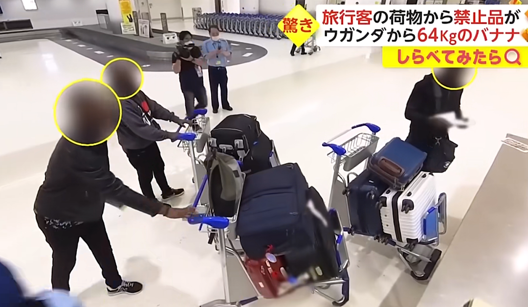日本机场惊现各种奇葩“违禁品“？一中国大哥的行李箱，让外国网友直呼：开了眼了…（组图） - 19