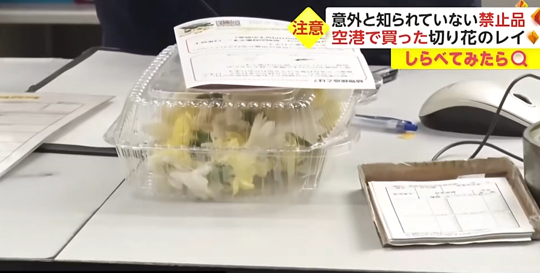 日本机场惊现各种奇葩“违禁品“？一中国大哥的行李箱，让外国网友直呼：开了眼了…（组图） - 16