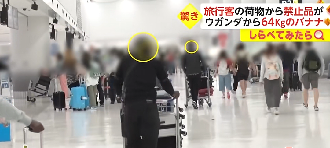 日本机场惊现各种奇葩“违禁品“？一中国大哥的行李箱，让外国网友直呼：开了眼了…（组图） - 24