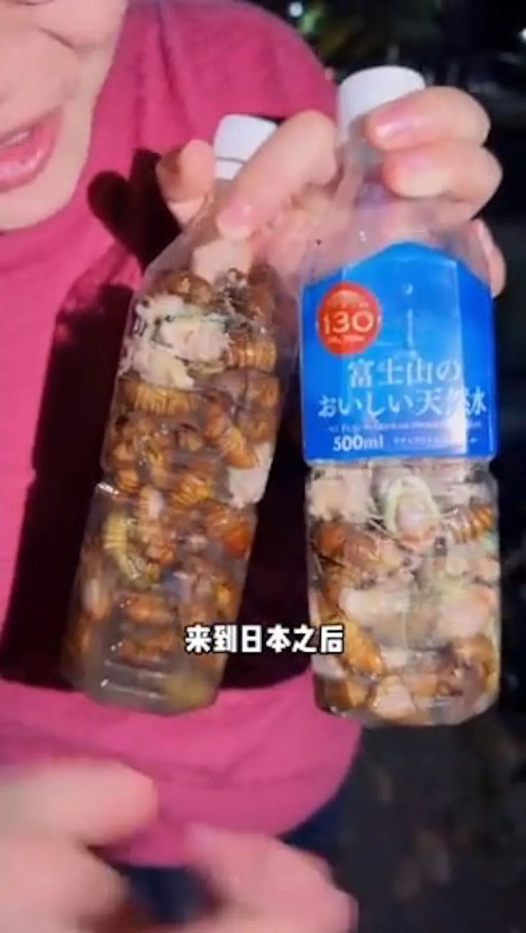 中国大妈在日本公园狂抓蝉还称“炸着特别香“ ，日本网友热议： 蝉被捕光了！（组图） - 9