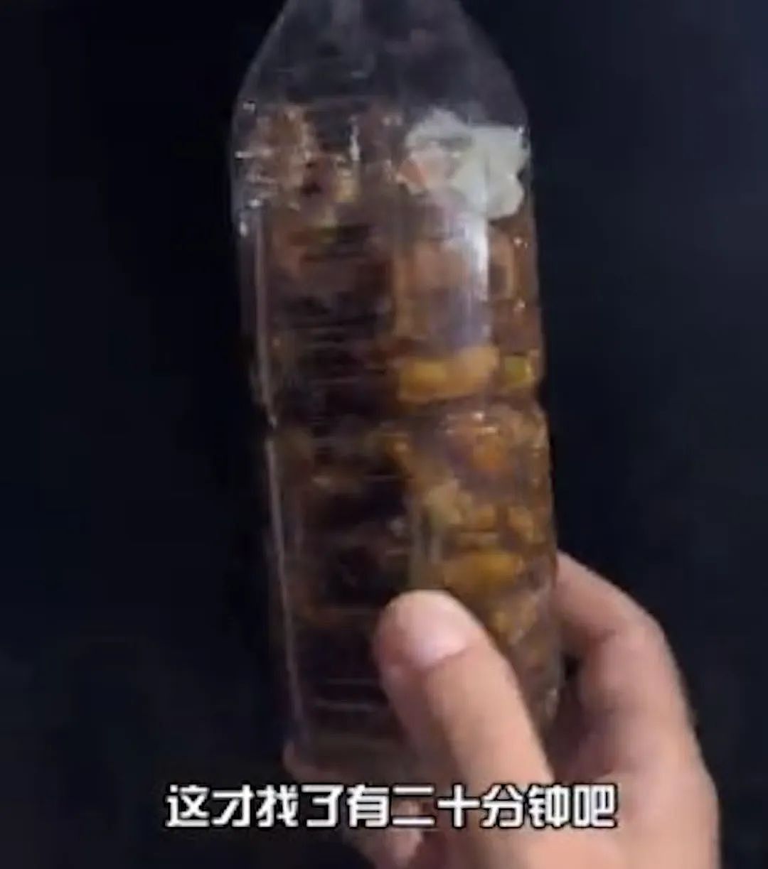 中国大妈在日本公园狂抓蝉还称“炸着特别香“ ，日本网友热议： 蝉被捕光了！（组图） - 8