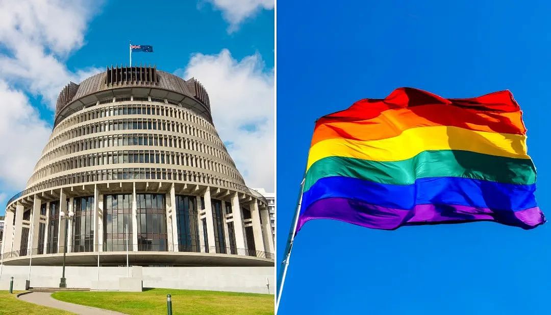 新西兰同婚数据公布，澳洲人排第一，中国人第二，女同性婚姻比男性多一倍（组图） - 7