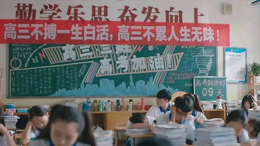 5年跟踪62个北京上海名校牛娃：清华学霸失业、复旦女孩碰壁、活得最好的（组图） - 9