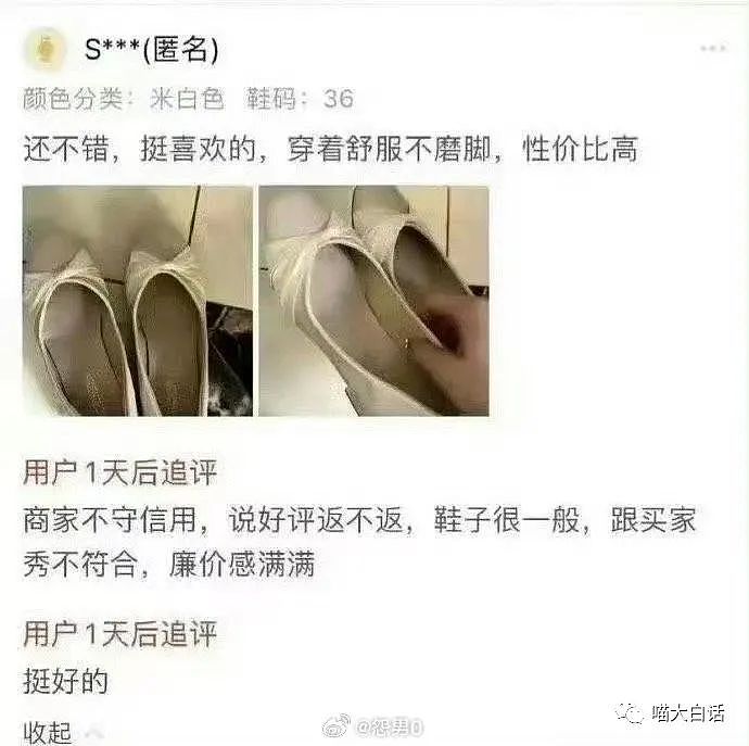 【爆笑】“宠物店把主人名字和狗的名字写反后....”哈哈哈哈哈哈网友经历相当炸裂（组图） - 63