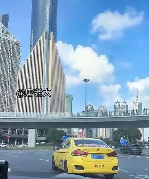 上海东方明珠下惊现重庆出租车？司机：包车，收了五位数；网友：全国同行都知道了（组图） - 2