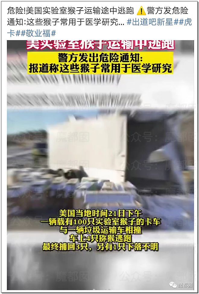 震撼！糜乱的代价是生命，中国海关总署公告152例猴痘死亡！（组图） - 30