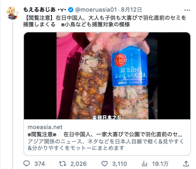 ​中国大妈在日本又出名了！在公园抓蝉吃还发网上炫耀，引发日本网友热议！（组图） - 2