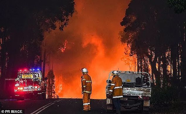 澳洲山火恐卷土重来！12家消防机构联合发出“立即准备 ”高级警告，新州昆州大片地区面临最大风险（组图） - 2
