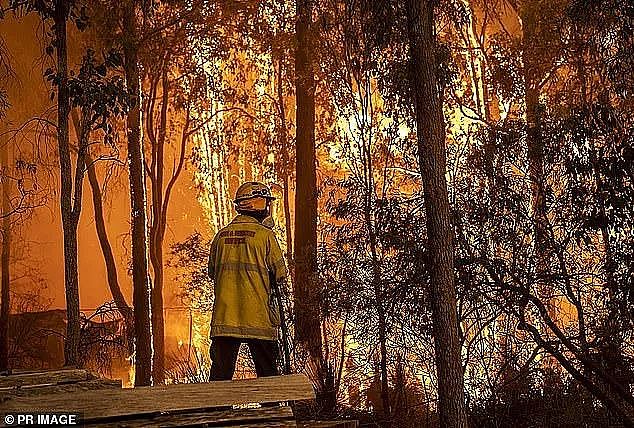 澳洲山火恐卷土重来！12家消防机构联合发出“立即准备 ”高级警告，新州昆州大片地区面临最大风险（组图） - 5