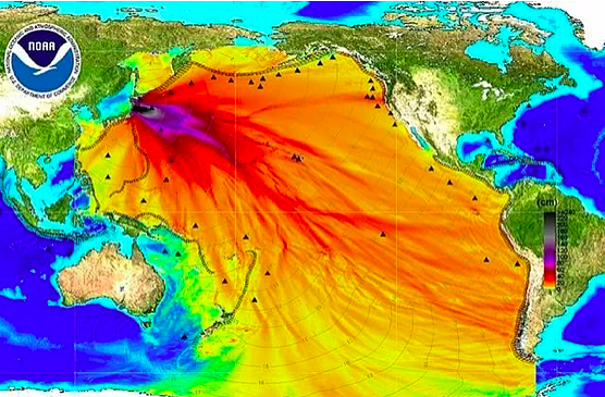日本将于24日正式排放核污水，世界人民的灾难就要降临了…（组图） - 12