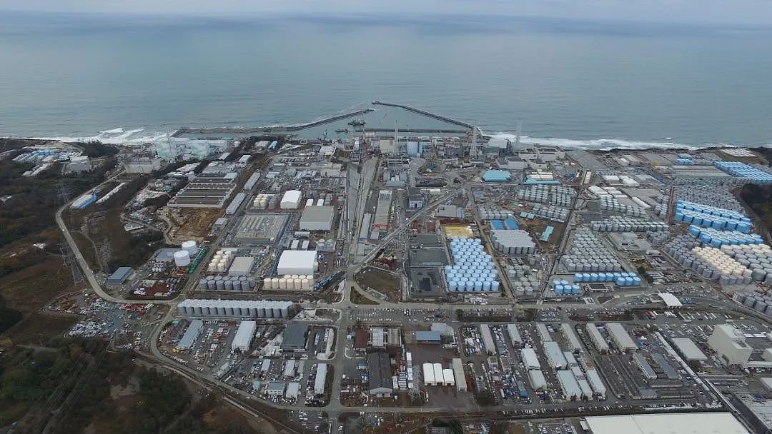 日本核污水今启排海：记者2015年挺进福岛，记录核污染破坏力（组图） - 7