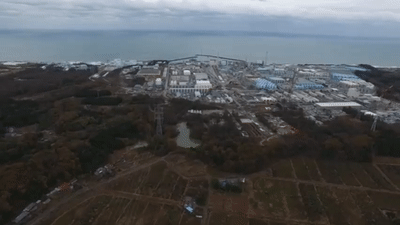 日本核污水今启排海：记者2015年挺进福岛，记录核污染破坏力（组图） - 8