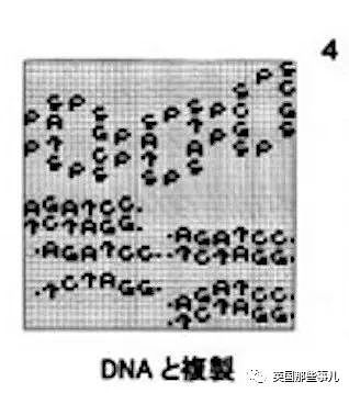 日本教授喝醉后给牛郎星发了13张地球图片，40年了还没回信…（组图） - 8