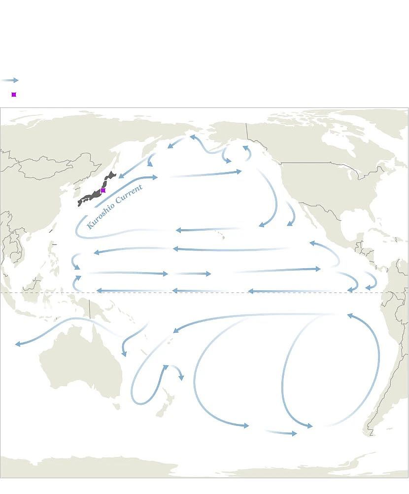 多位美国科学家反对日本核废水排海，称将威胁全球70%渔业（组图） - 5