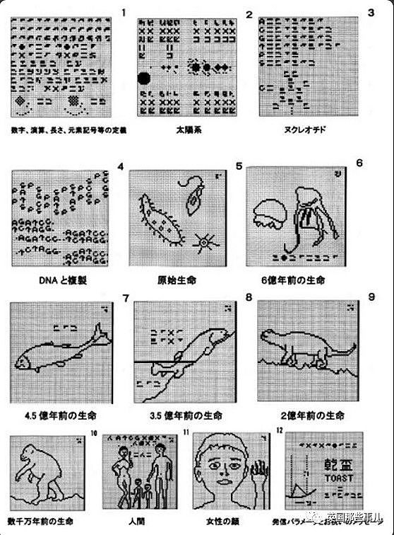 日本教授喝醉后给牛郎星发了13张地球图片，40年了还没回信…（组图） - 18