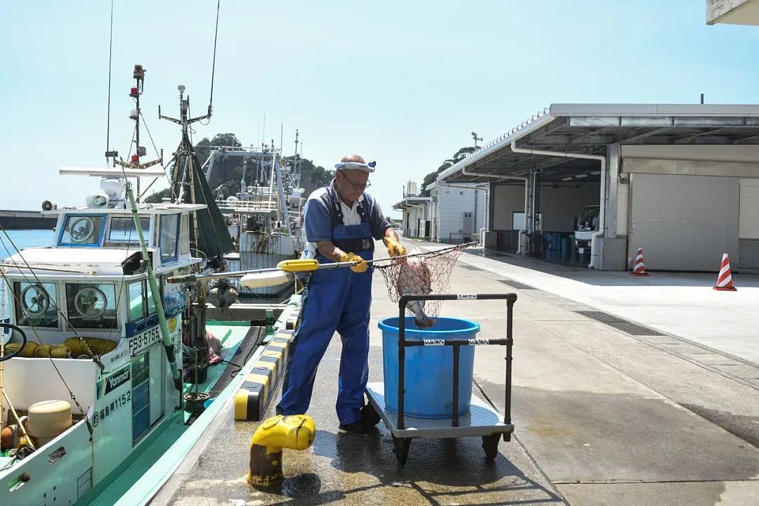 日本今天排核污水，福岛渔民哭了，再也没人买他们的鱼了（组图） - 1