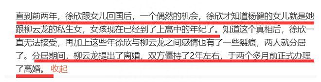 柳云龙妻子承认已离婚，公开婚变内情惹唏嘘，公司已转到杨健名下（组图） - 16