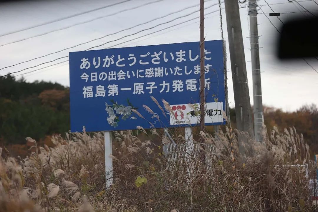 日本核污水今启排海：记者2015年挺进福岛，记录核污染破坏力（组图） - 15