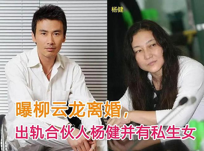柳云龙妻子承认已离婚，公开婚变内情惹唏嘘，公司已转到杨健名下（组图） - 1
