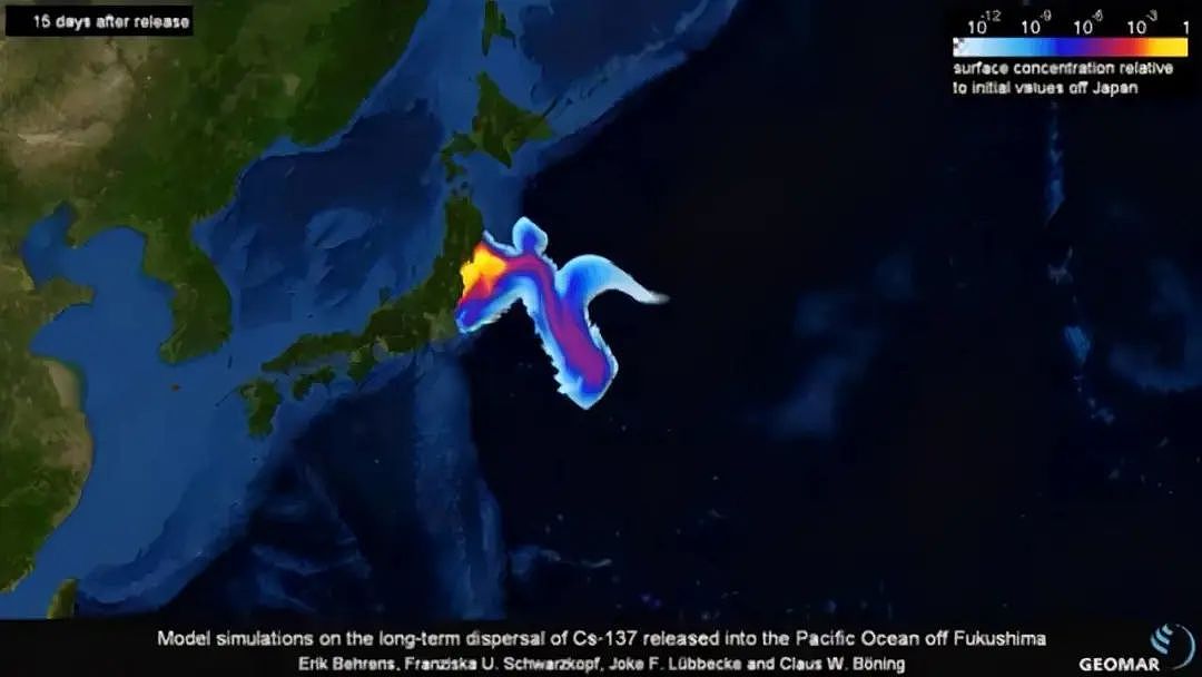 全球灾难！130万吨核污水将排入太平洋！韩国人疯抢海盐，全世界在发抖（组图） - 7