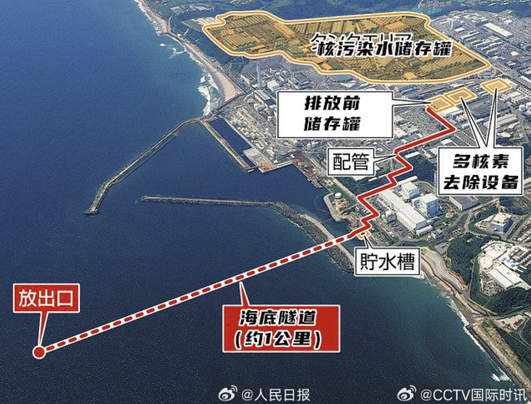 日本核污水已入海，有人已经开始吃药，240天后海鲜还能吃吗？（组图） - 3