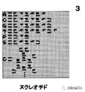 日本教授喝醉后给牛郎星发了13张地球图片，40年了还没回信…（组图） - 7